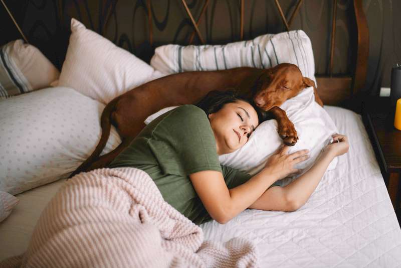 Hund und Frau liegen schlafend im Bett