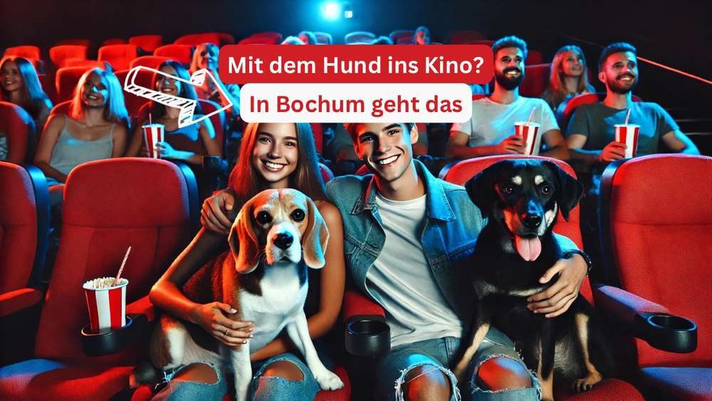 Blog-Hunde im Kino - in diesem deutschen Kino darfst du Filme gemeinsam mit deinem Hund ansehen-Bild