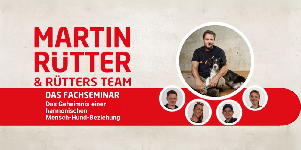 Banner Martin R&uuml;tter Seminar