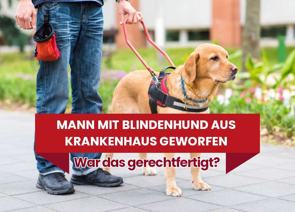 Mann mit Blindenhund aus Krankenhaus geflogen! Ist das gerecht?