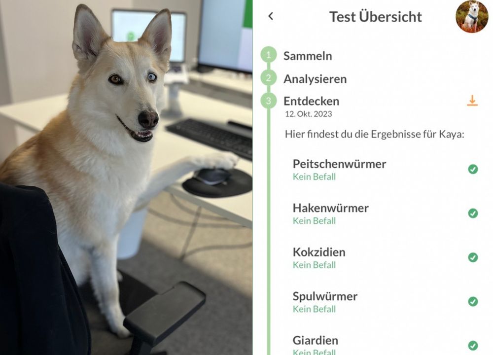 Kaya checkt am Computer, wie ihr Testergebnis lautet