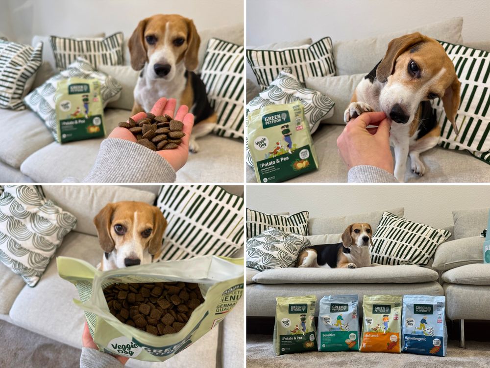 Collage von Emma mit dem Futter von Green Petfood