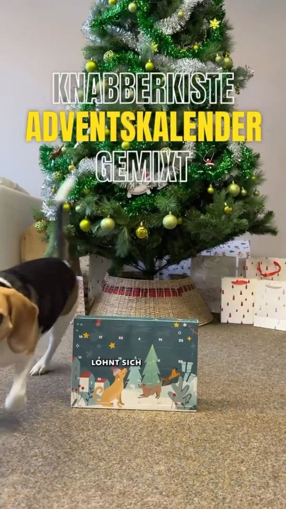 Knabberkiste Adventskalender