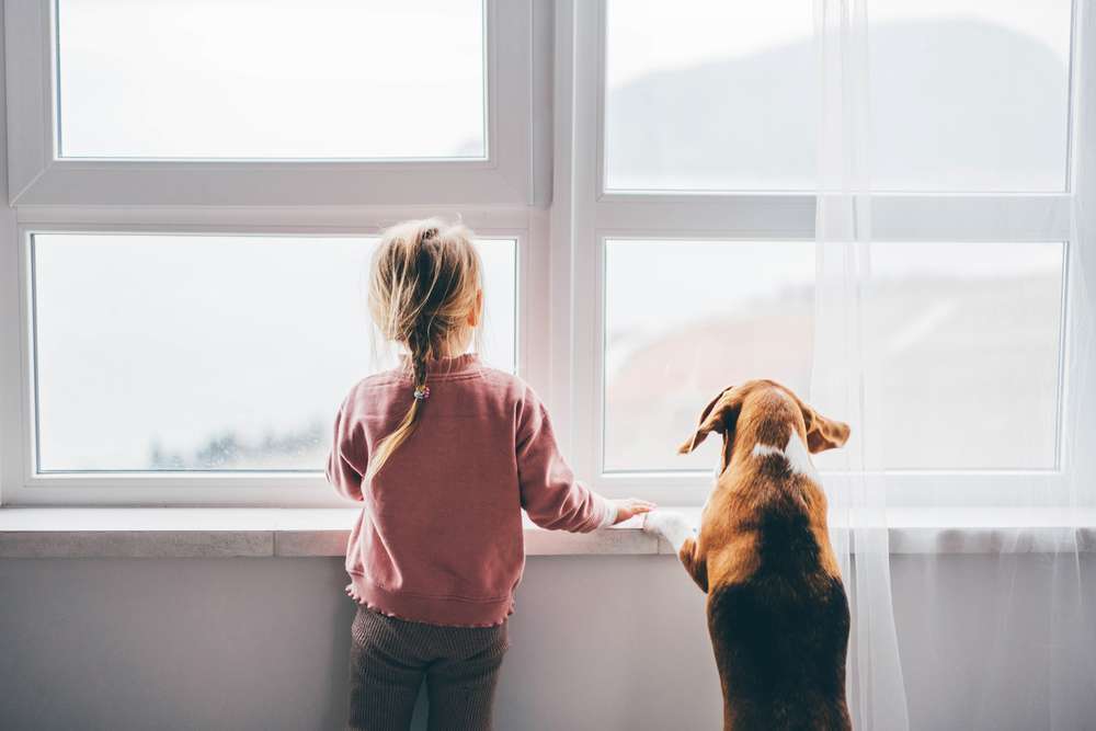Blog-Kind und Hund: Eine Anleitung zu einem sicheren und verantwortungsbewussten Umgang-Bild