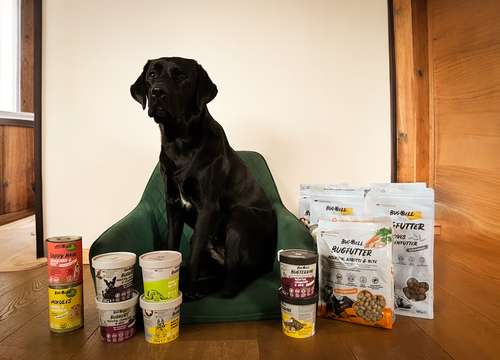 Sali mit der gesamten Futterauswahl von Bugbell