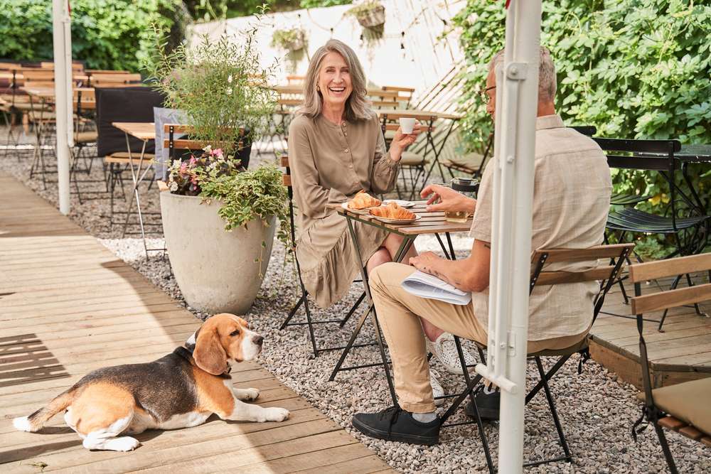 Gastronom auf Sylt erteilt Zutrittsverbot für Hunde - Gehören Hunde ins Restaurant?