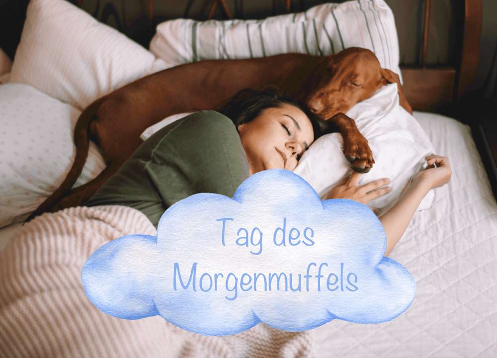 Blog-Tag des Morgenmuffels: So startest du entspannt in den Tag mit deinem Hund-Bild