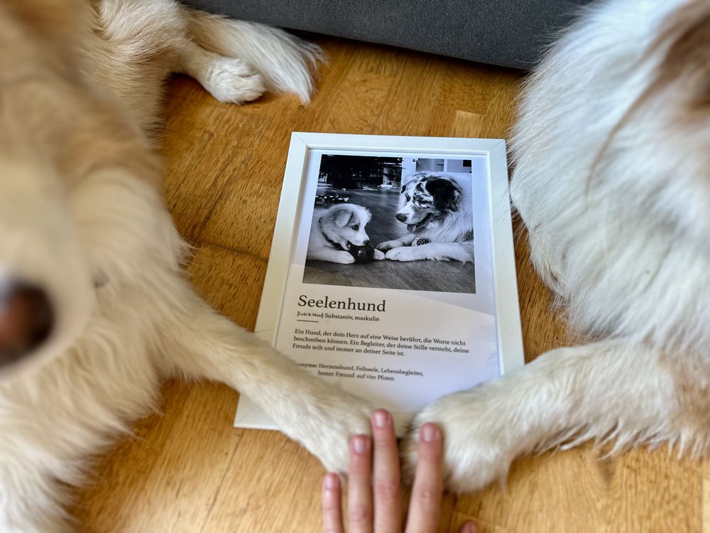 Zwei Hunde, in der Mitte Seelentier Poster