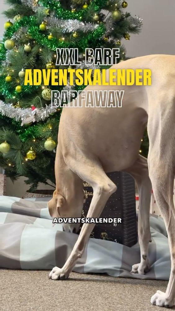BARFaway XXL BARF Adventskalender