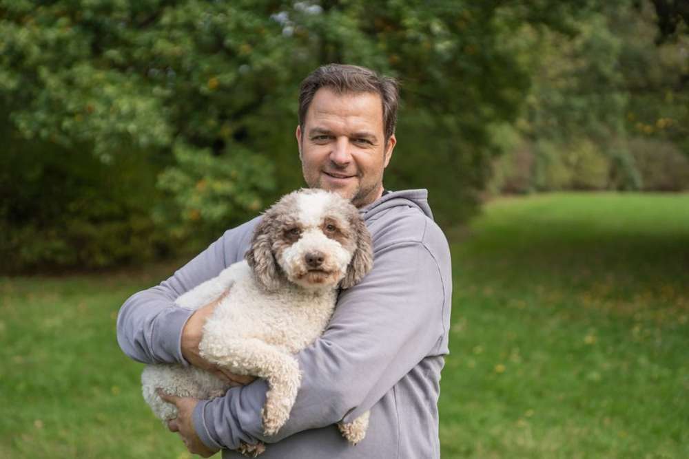 Hunderassen-Lagotto Romagnolo-Bild