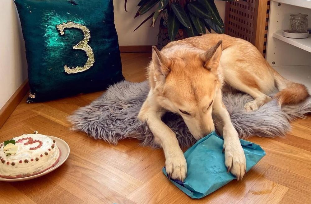 Kaya zu ihrem dritten Geburtstag 