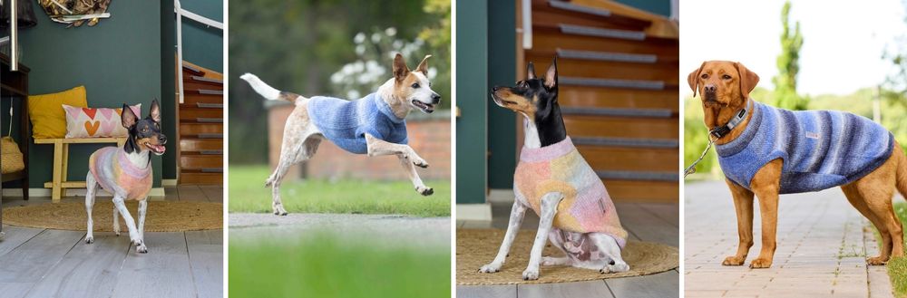 Sunset und Sky Galerie