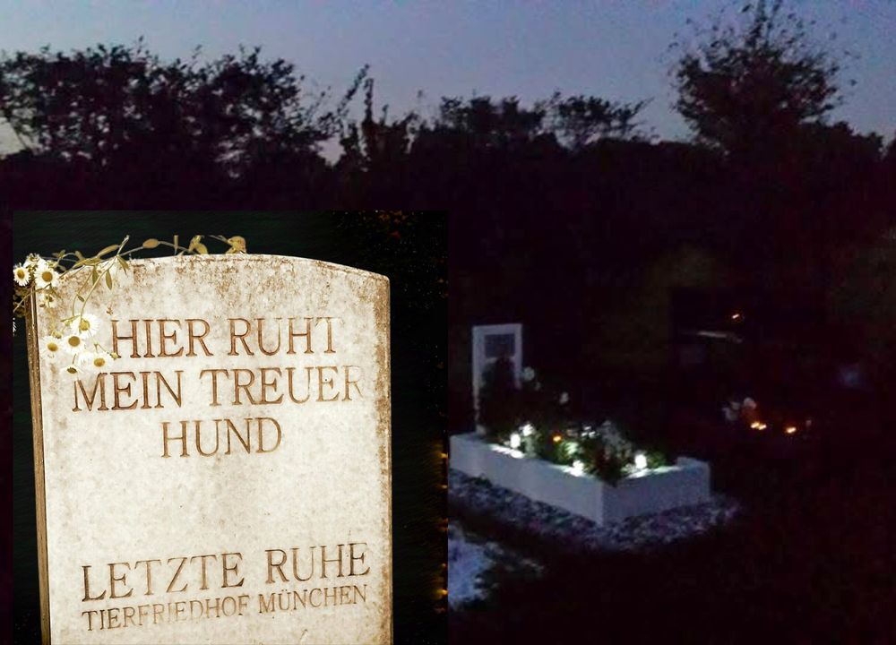Zwei Bilder von Letzte Ruhe Tierfriedhof