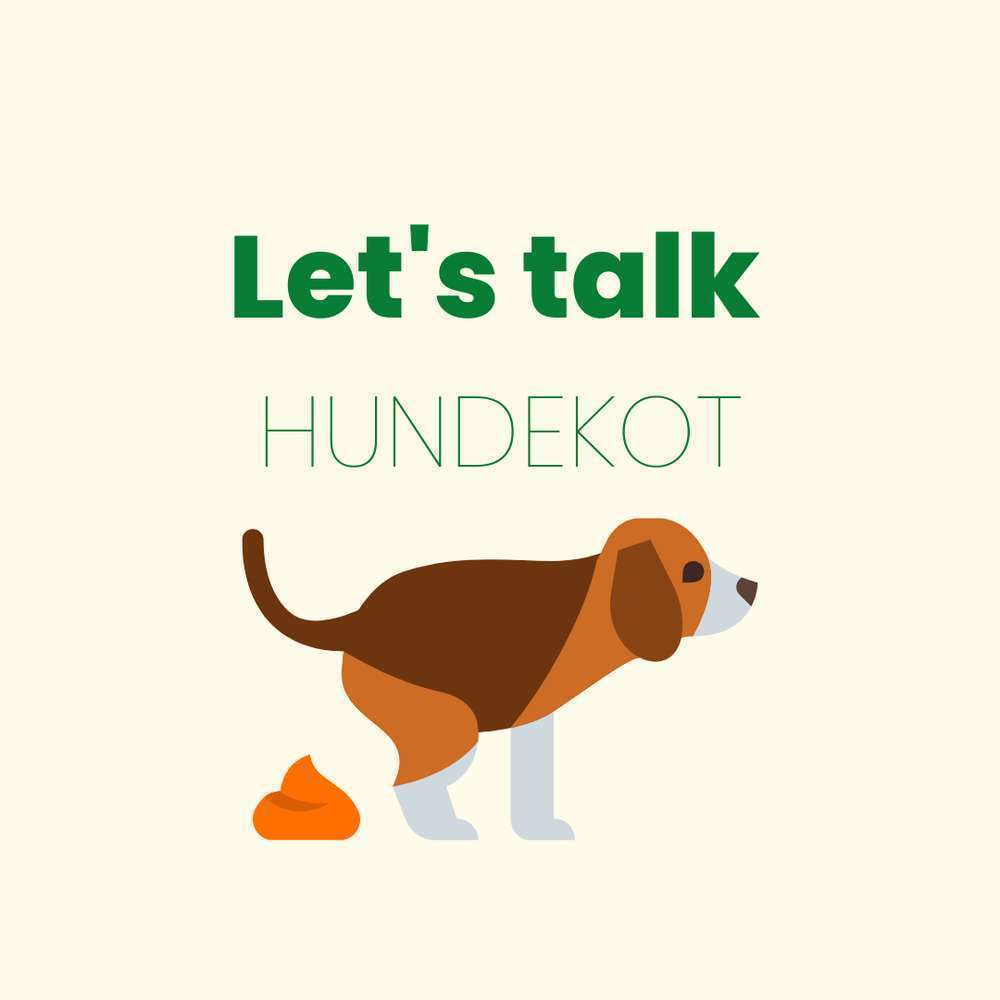 Blog-Let's talk Hundekot - was die Farbe des Kotabsatzes mit der Gesundheit deines Hundes zu tun hat-Bild