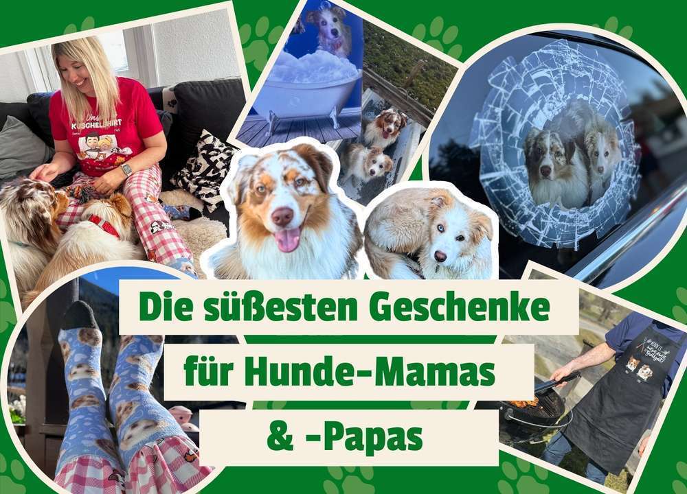 Die schönsten Geschenke für Hundehalter 2025: Personalisierte Geschenke für Hundebesitzer 🐶✨
