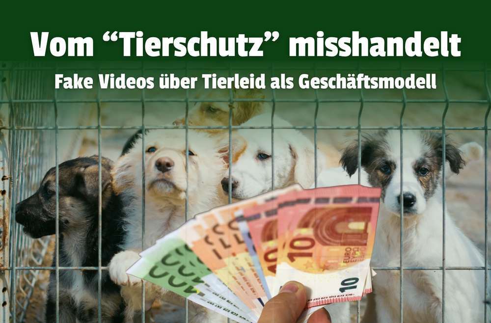 Blog-Tierleid für Klicks: Fake-Tierschutz in Uganda enthüllt | So schützt du dich-Bild