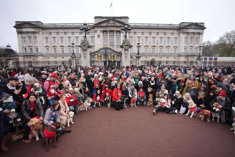 Weihnachtliche Hundeparade – Spaß für Hunde oder nur fürs Auge?