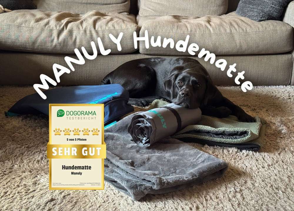 Blog-Manuly Hundematte im Dogorama Test | innovative, funktionale und selbstaufblasende Matte für unterwegs-Bild