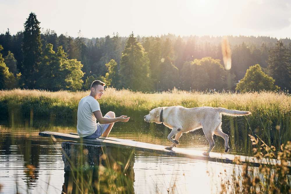 Blog-Urlaub mit Hund – 7 Tipps für ein stressfreies Verreisen mit deinem vierbeinigen Freund inklusive Checkliste-Bild