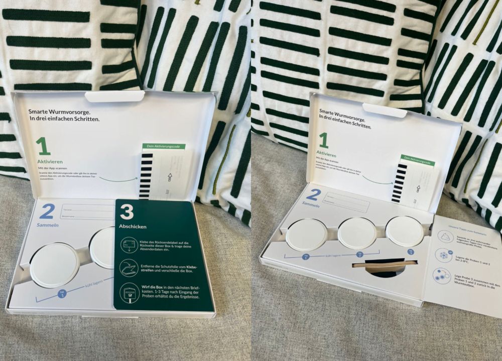 Das Innere des Testkits mit der Anwendungsbeschreibung