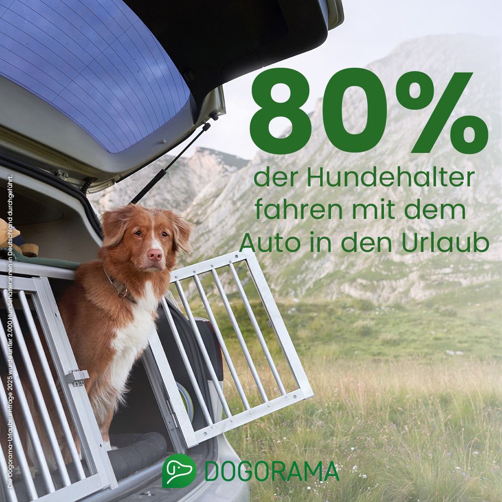 80 % der Hundehalter fahren mit ihrem Hund in den Urlaub