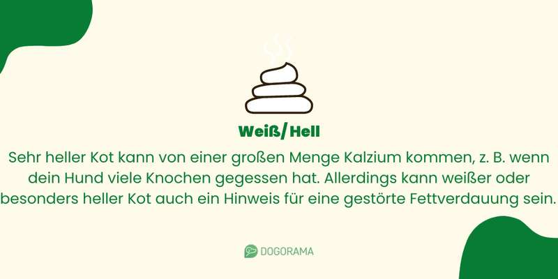 Sehr heller Kotabsatz