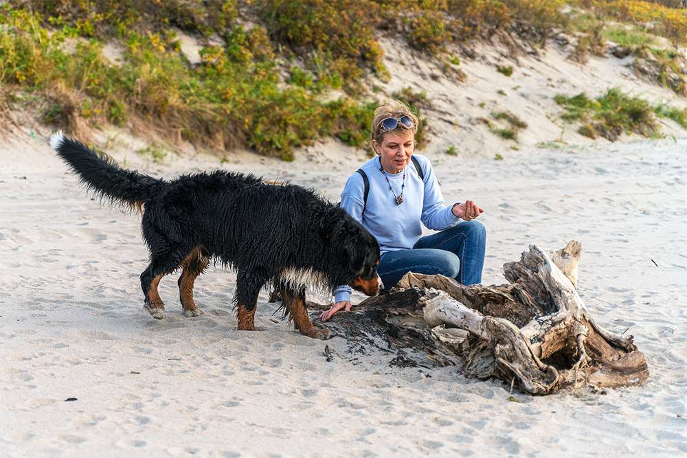 Presse-Hunde-Urlaubs-Ranking 2026! Das sind die 10 beliebtesten Urlaubsorte für Hundehalter!-Bild
