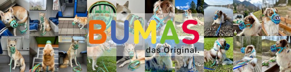 Collage mit Bumas Bildern und Logo