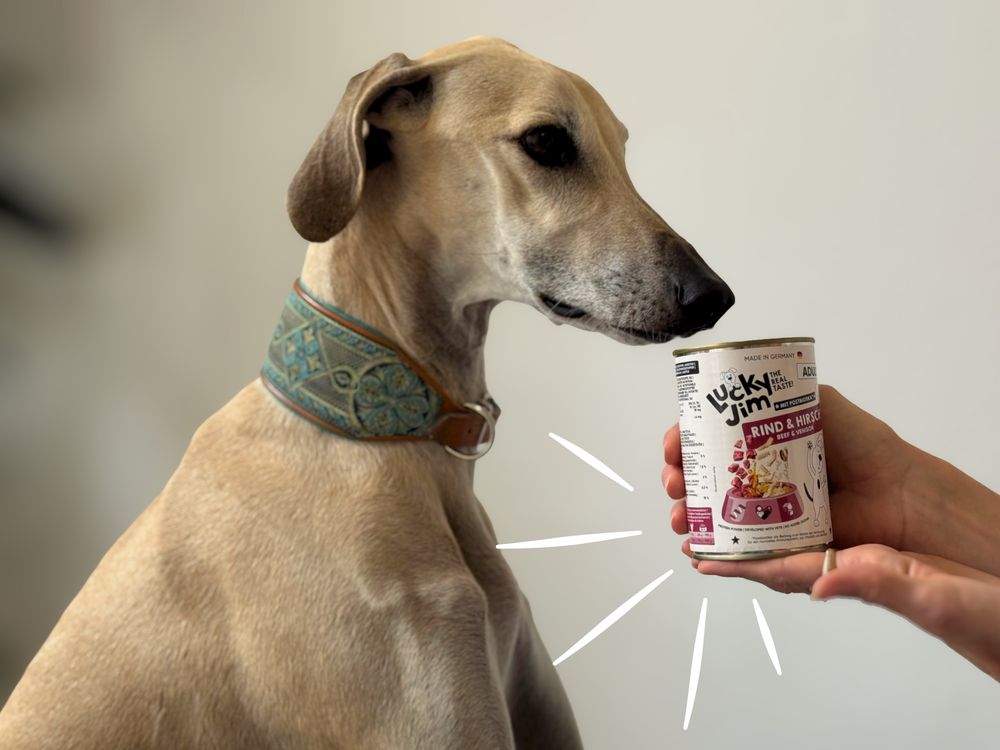 Postbiotika f&uuml;r Hunde gesunde Verdauung Nassfutter LuckyJim 