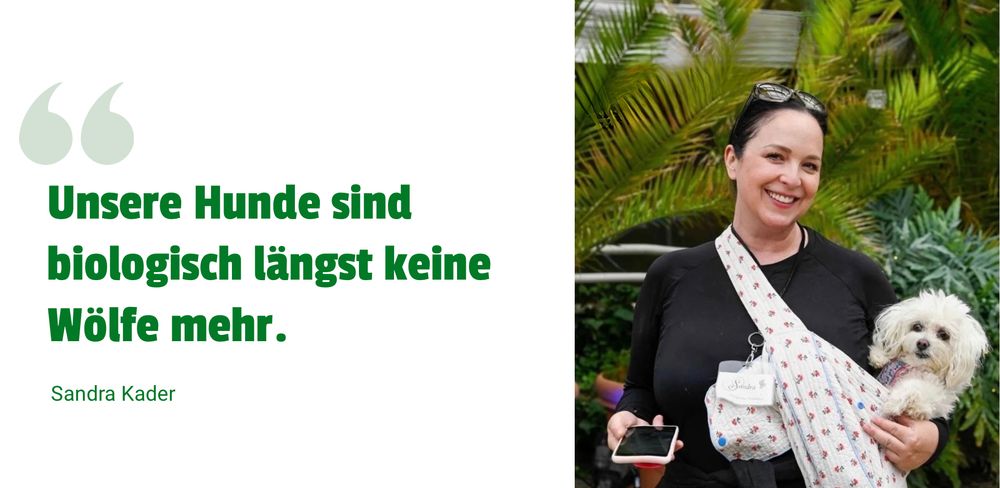 Banner3: Vegane Ern&auml;hrung bei Hunden