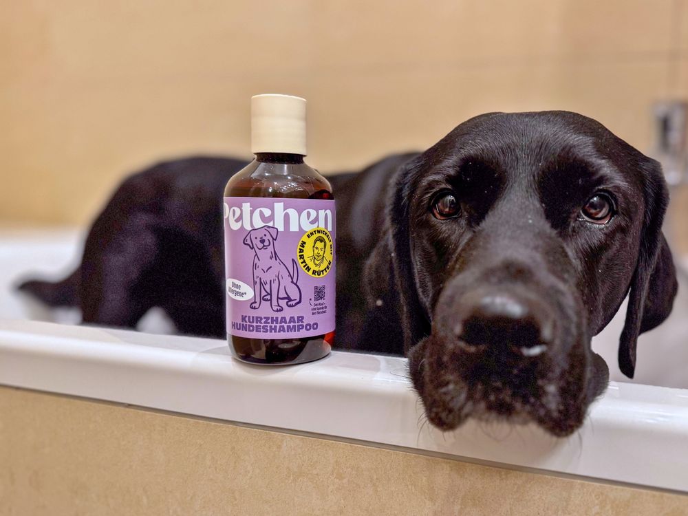 Gesundes und nachhaltiges Hundeshampoo von Petchen im Test