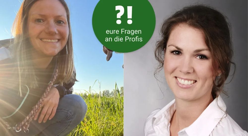 Offene Fragerunde Tiermedizin: Anna-Maria Muck & Dr. Rosenberg  