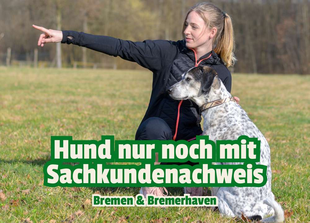 Blog-Pflicht ab 2026: Bremen führt den Hundeführerschein ein – das musst du wissen-Bild