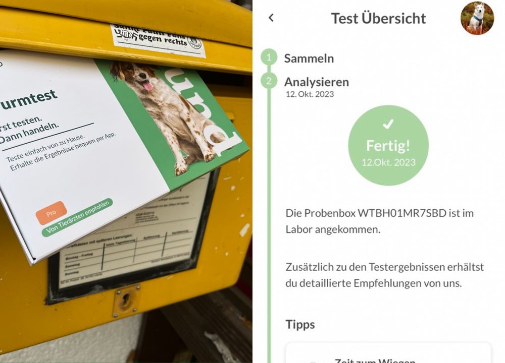 Der vetevo Wurmtest wird in den Briefkasten geworfen und rechts ist die Best&auml;tigung des Probeneingangs zu sehen