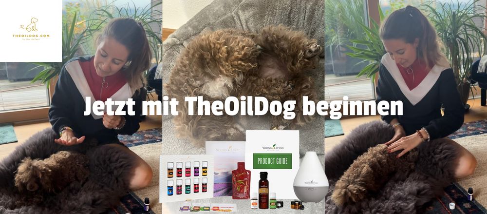 Banner Aromaberaterin Lisa Hollaus mit Hund und &Ouml;len