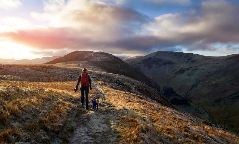 Mensch und Hund sind im Gebirge wandern