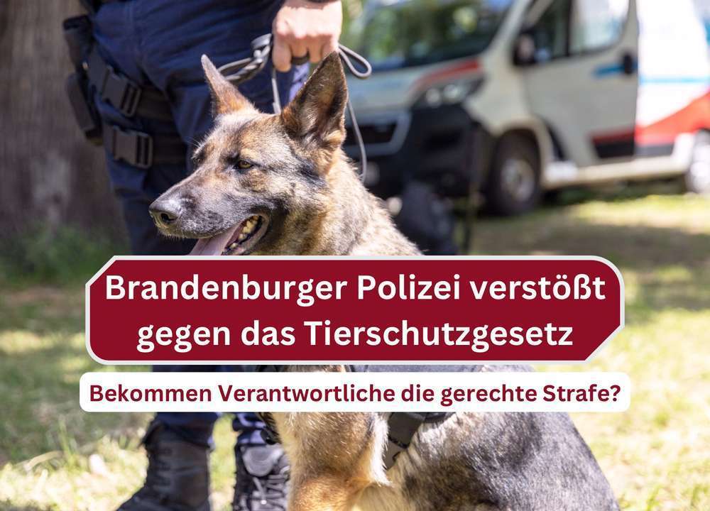 Tierquälerei bei der Brandenburger Polizei - warum die Staatsanwaltschaft nun ermittelt 