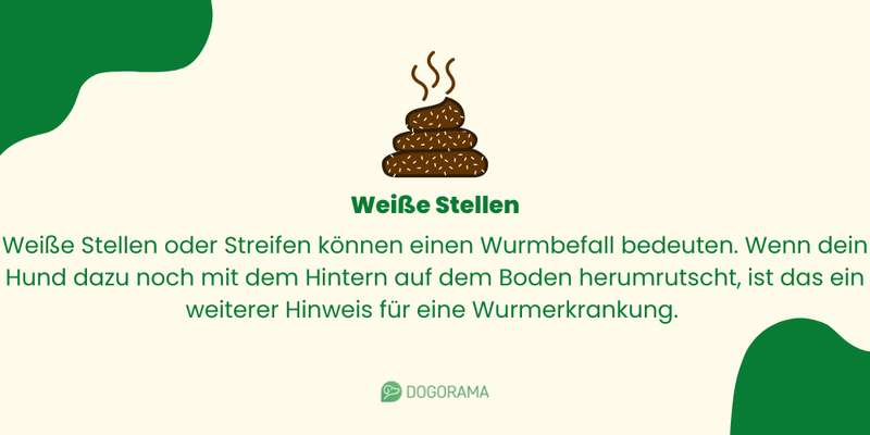 Wei&szlig;e Stellen im Kotabsatz
