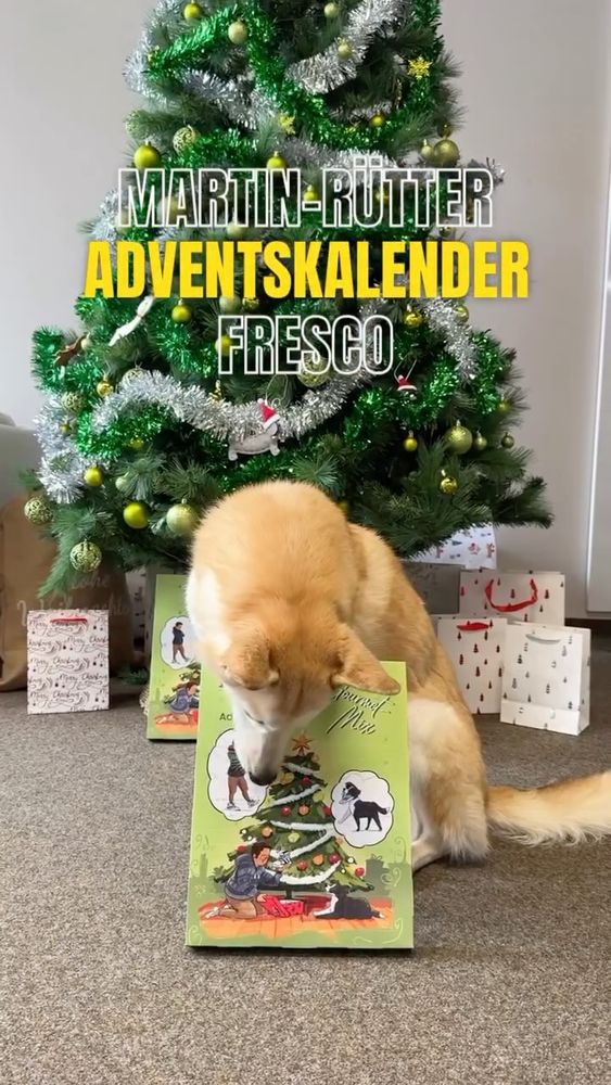 FRESCO - frisches und gesundes Hundefutter