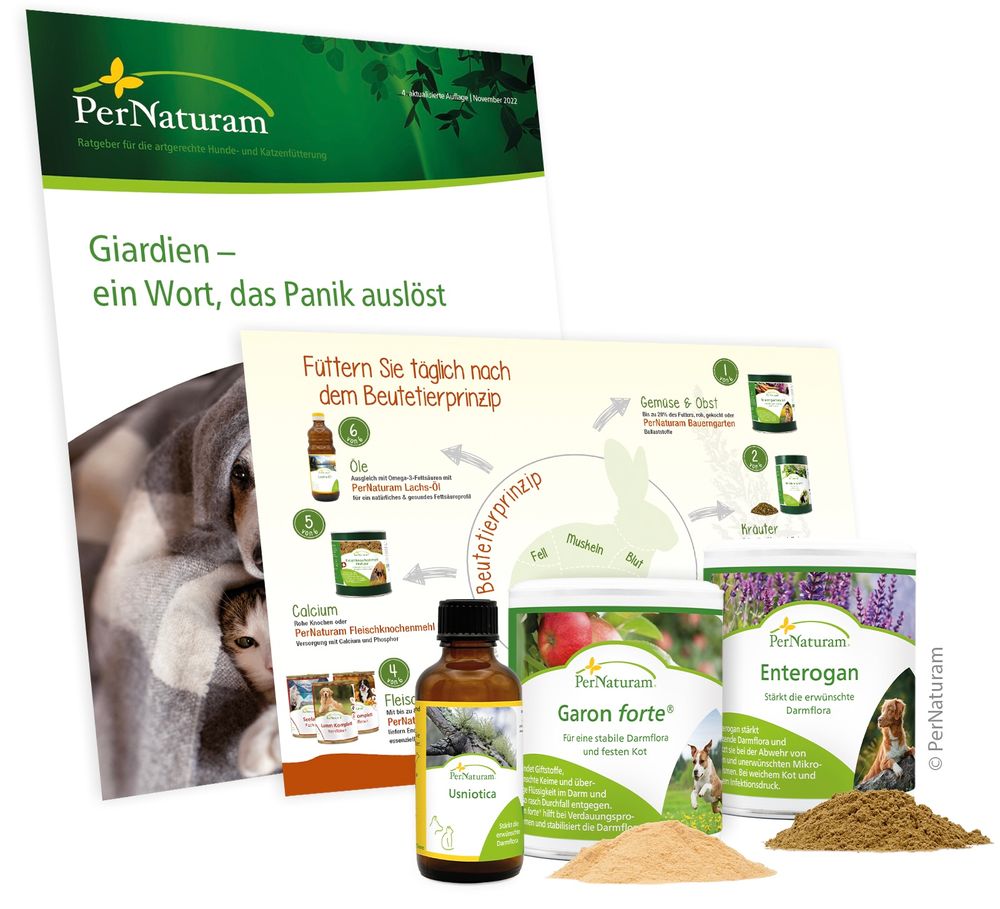 Hausmittel und Medikamente gegen Giardien