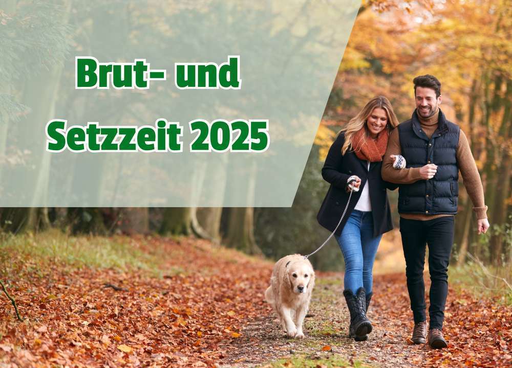 Blog-Brut- und Setzzeit 2025 in Deutschland: Wann und wo gilt was? Was Hundehalter:innen wissen müssen-Bild