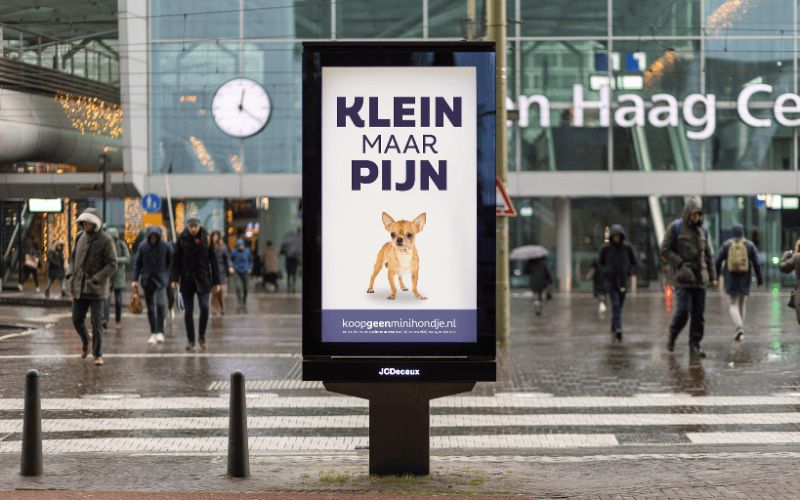 Kampagne Niederlande „Klein, aber schmerzhaft“