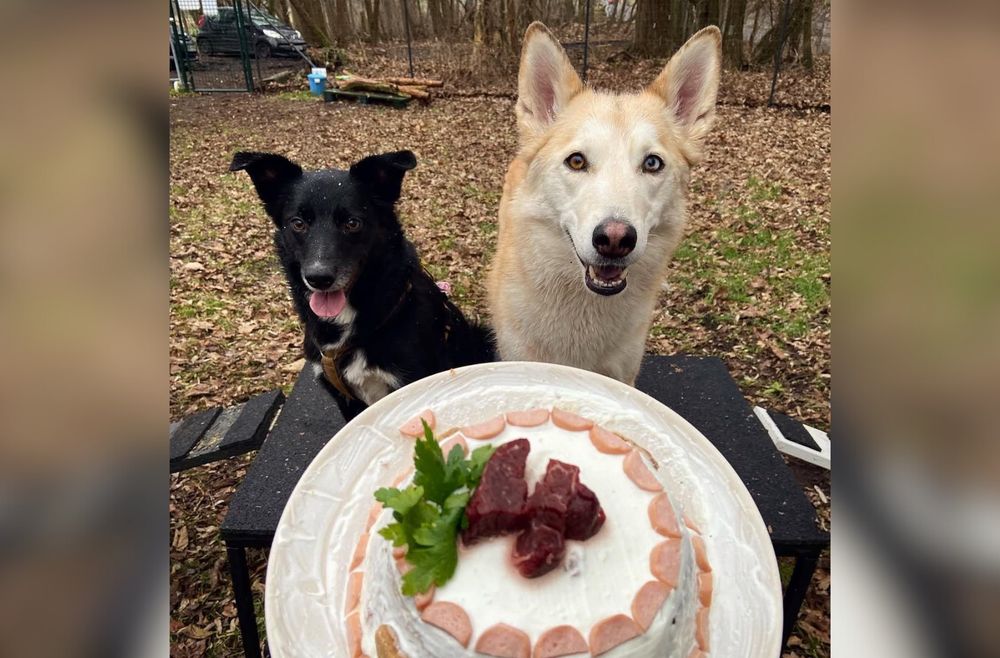 Kaya mit ihrem Hundefreund zu ihrem Geburtstag 