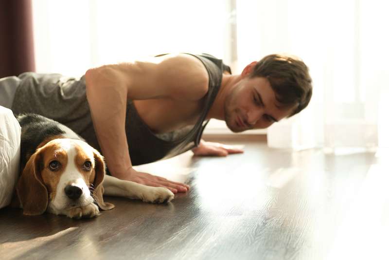 Mann und Beagle beim Yoga
