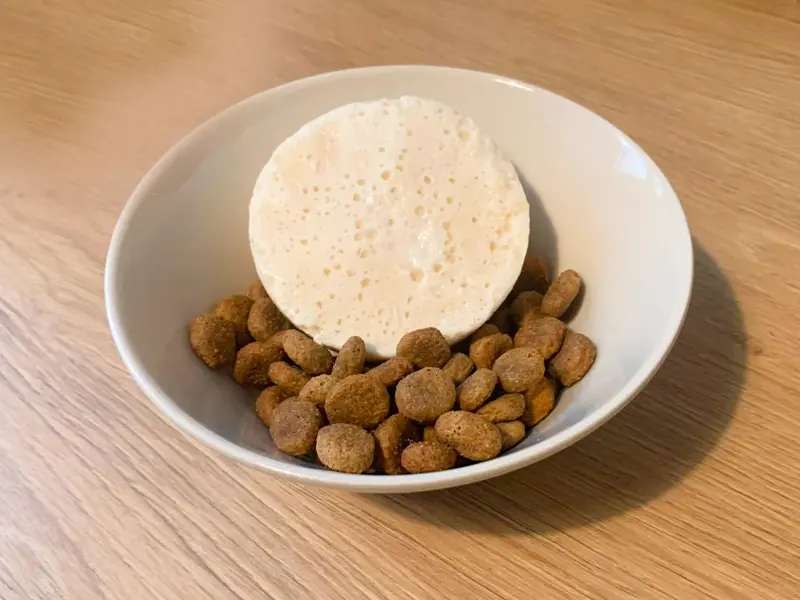 Honig-Melone-Frühstücks-Eis