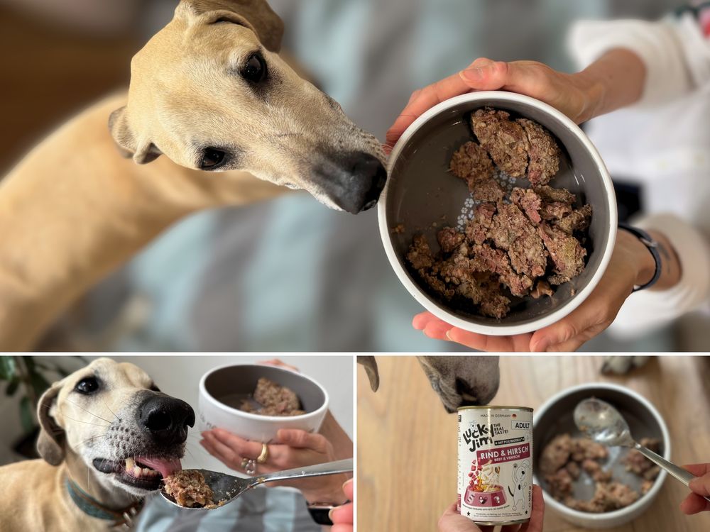Postbiotika f&uuml;r Hunde gesunde Verdauung Nassfutter LuckyJim 