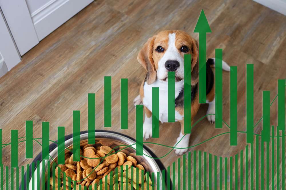 Presse-Dogorama veröffentlicht interaktive Ergebnisse der großen Futterumfrage mit über 2.000 teilnehmenden Hundehaltern-Bild