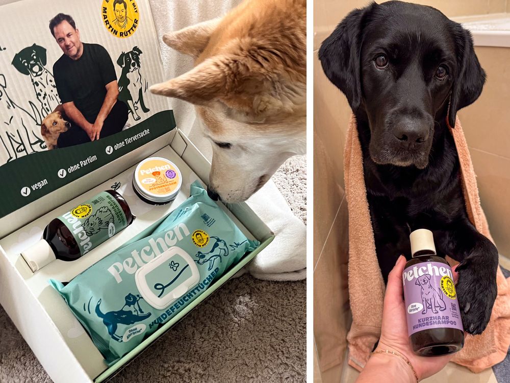 Shampoo f&uuml;r Kurzhaar Hunde, Shampoo f&uuml;r Langhaarhunde gesund und nachhaltig Petchen