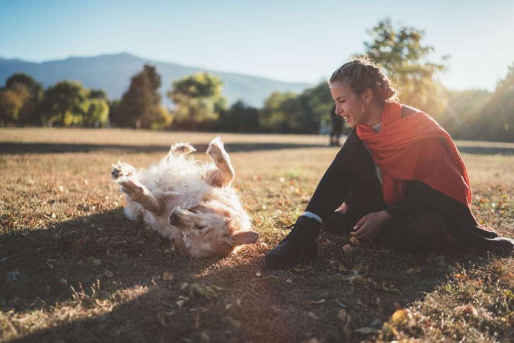 Presse-Deutschlands erste lokale Community-App für Hundebesitzer-Bild