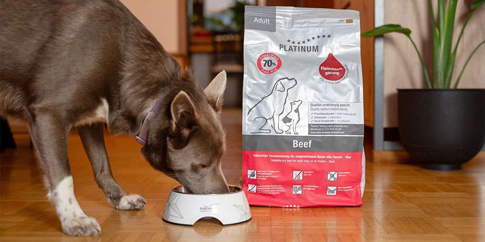 Hundefutter, das leckerer und gesünder ist - wie die Fleischsaftgarung von Platinum Hundenahrung noch besser macht